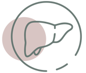Liver/Bile Duct Conditions