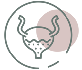 Paediatric Urology